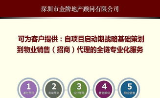 中國(guó)房地產(chǎn)前期拿地開(kāi)發(fā)策劃戰(zhàn)略咨詢(xún)專(zhuān)家 為項(xiàng)目成功奠基